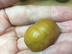 -陈记栗子(长宁路店)