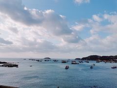 -枸杞岛