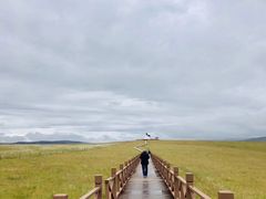 -郭莽湿地