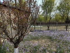 -兴芮温泉度假区