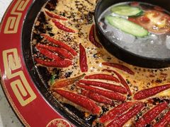 鸳鸯锅-骉骉老火锅(铁像寺路店)