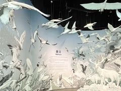 -中国湿地博物馆