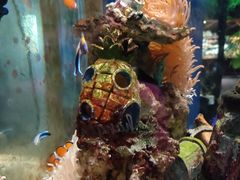 -太平洋海底世界