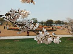 -上海辰山植物园