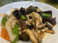 罗汉斋-姚林轩