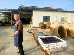 -苏州市吴中区光福窑上花果蜜饯厂