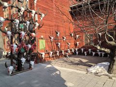 -呀路古热带植物园