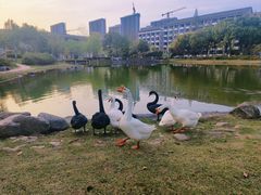 -安徽大学(磬苑校区)