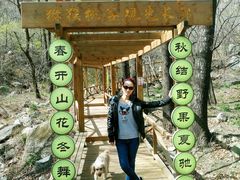-大岭沟猕猴桃谷风景区