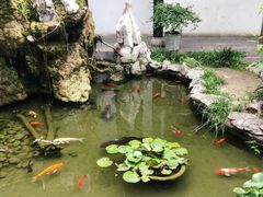 -膳和缘炒鸡店(南门路店)