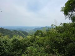 -莫干山风景区
