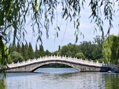 -莱西月湖公园