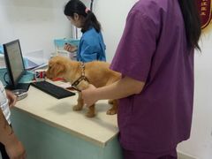 -菲丽丝宠物医院·24小时·猫科中心·免疫点(淮海分院)