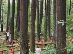 -波尔登森林公园