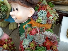 -龙大花卉苗木市场