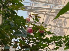 -花苑里咖啡(威远店)
