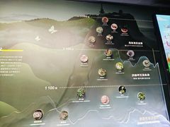 -四川大学博物馆