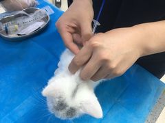 -萌兽医馆·绝育·24小时内科·宠物医院(德胜店)