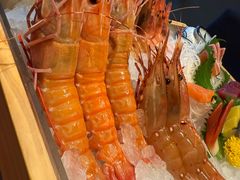 -月龍吟(朝龙汇店)