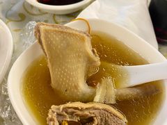 -百利鸽王(紫薇路店)