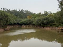 -大雁山风景区