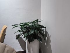 -酷公社·榴莲披萨(太原街店)