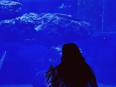 -多彩贵州城极地海洋世界