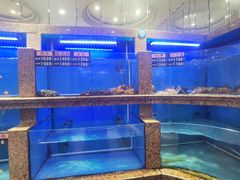 -齐家花园大酒店(宝山店)