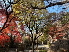 -青岛崂山太清宫
