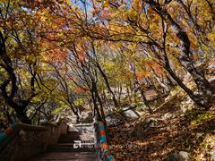 -妙峰山风景名胜区