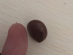 -粒上皇(湛江万达店)