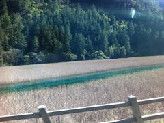 -九寨沟-树正沟