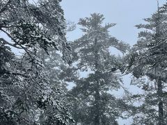-西岭雪山大飞水景区
