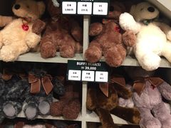 -济州岛泰迪熊博物馆