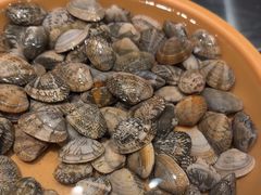 -龍歌自助小火锅(芝罘万达店)