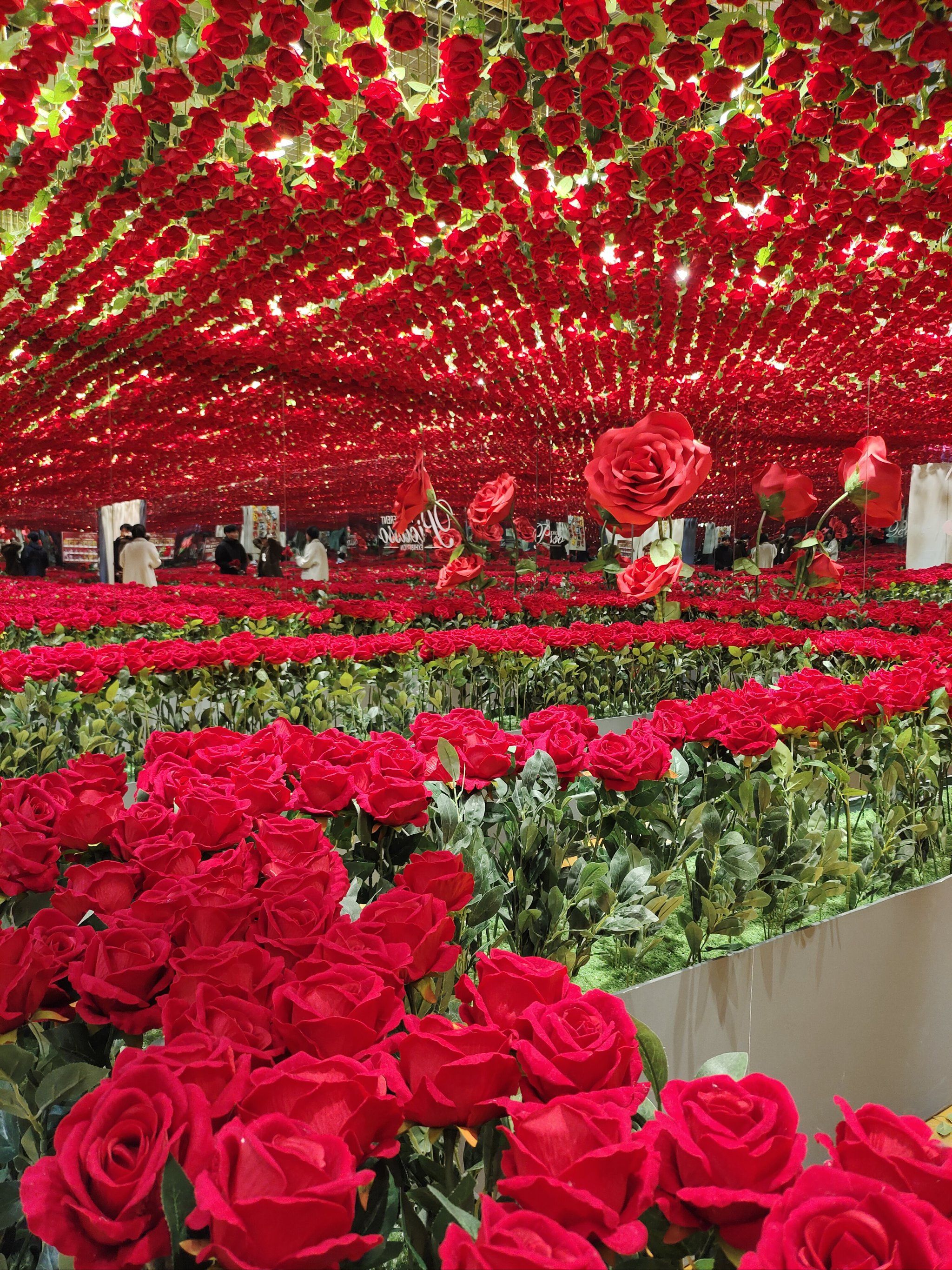 一个人需要漫长的时间,才能培养出年轻的心