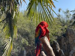 -杭州野生动物世界