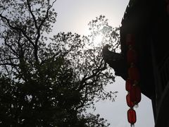 -塔川景区