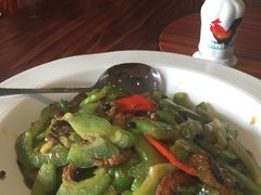 -顺德了能馆(虎门店)