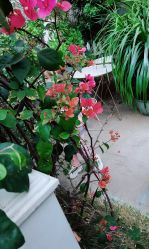 -尚艺造型.剪烫染.接发