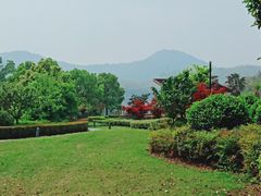 -宁波九龙湖开元度假村