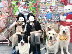 -汪说·狗咖(旺城大厦店)