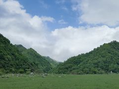 -狮子沟牧场