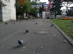 -札幌电视塔