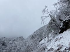 -光雾山旅游景区