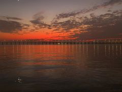 -宝安西湾红树林湿地公园