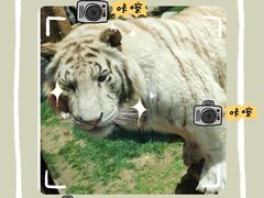 -北京野生动物园