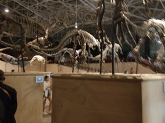 -世界恐龙谷景区