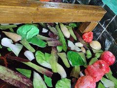 -兴芮温泉度假区