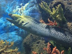 -多彩贵州城极地海洋世界